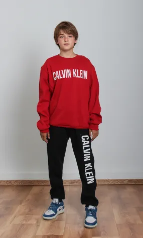 Boys Two Pieces Sweat Suit (Red)